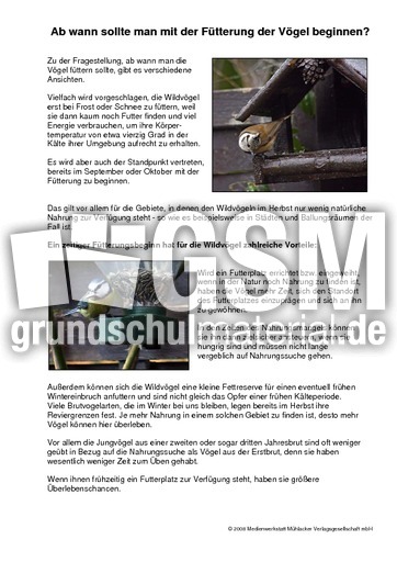 Vogelfütterung-Zeitpunkt.pdf